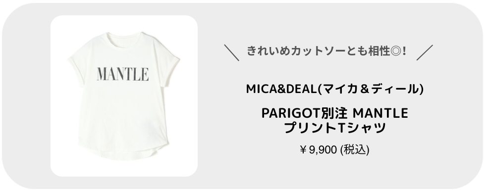 商品説明テキスト